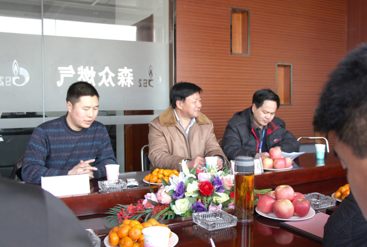 林口县政府与太原明轩电子医疗服务有限公司燃气项目洽谈.png